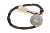 Ignition Switch, Loom, Plug 218959